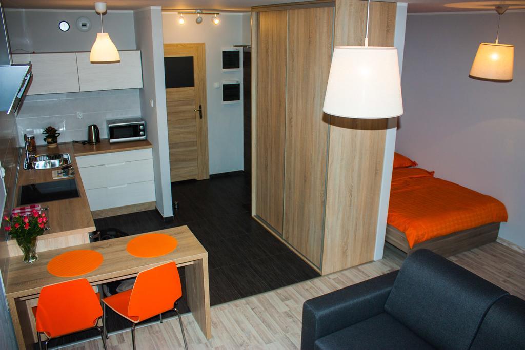 Apartment Studio Pionier *
